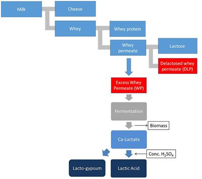 Potential of Lacto-Gypsum as an Amendment to Build Soil Quality